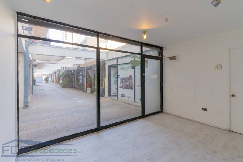 PROVIDENCIA / MANUEL MONTT